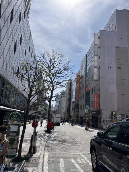 【静岡】街中・駿府城公園 大規模 ごみ拾い(呉服町名店街 &times; ザ・トーカイ コラボ)(通算300回)画像