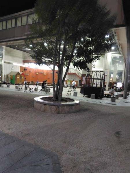 4/10(水)日峯さんへ行こうそうじ画像