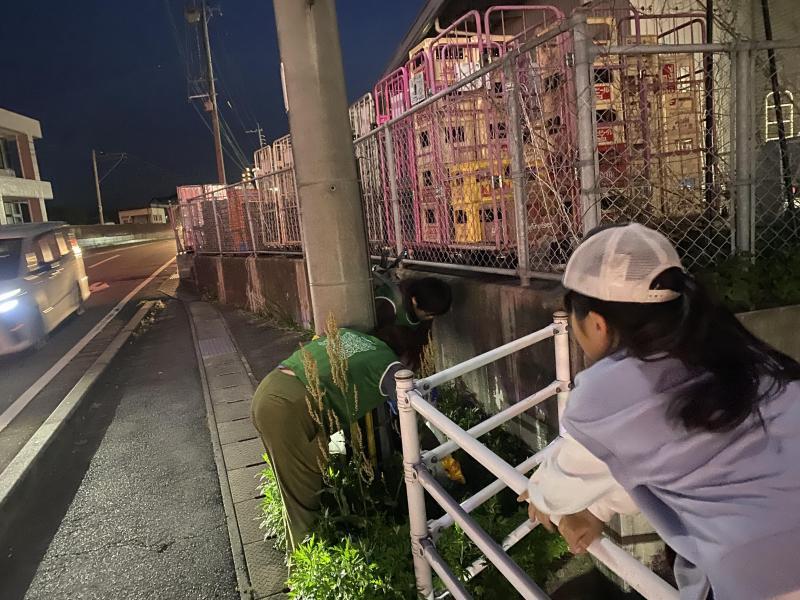 はじめましてのおそうじ画像