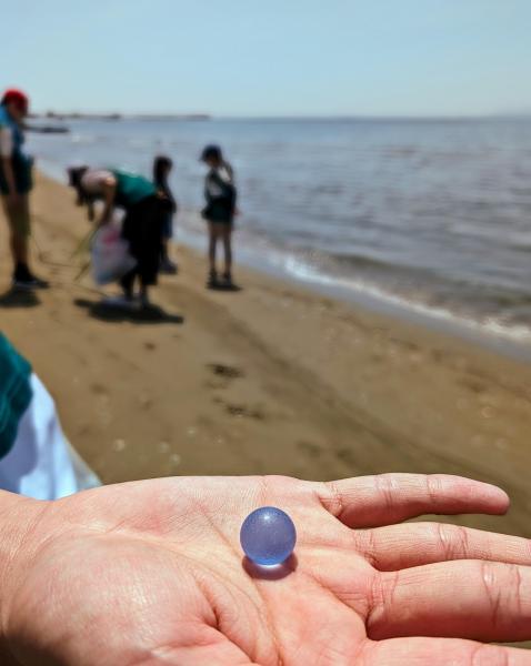 海のモーニングおそうじ画像