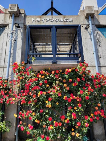 第14回　福山駅前そうじ画像