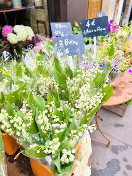 メーデーそうじ画像