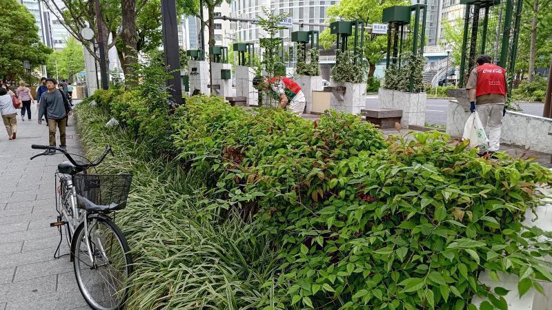 【北新地】ごみだらけのGW入り口おそうじ【4月第4土曜日】画像