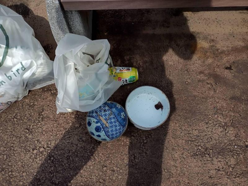 4月28日　日曜日。お掃除日和の晴天でした。画像