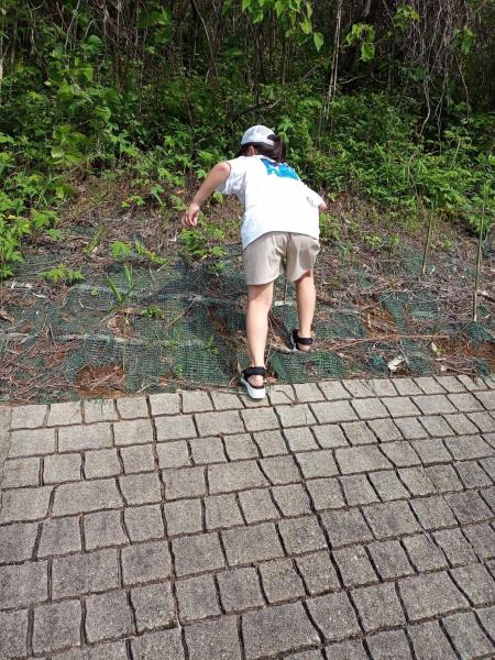 4月28日　日曜日。お掃除日和の晴天でした。画像