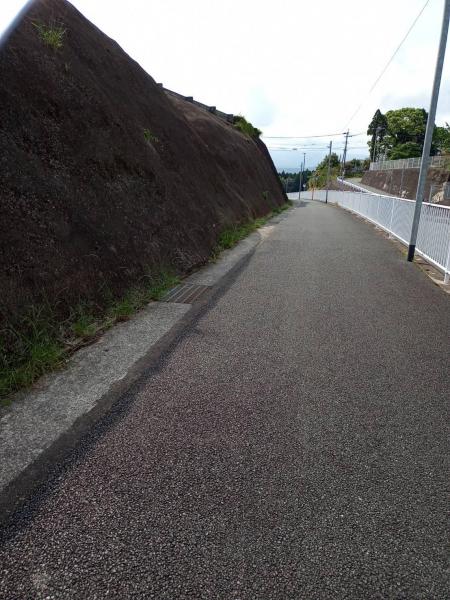 4月28日　日曜日。お掃除日和の晴天でした。画像