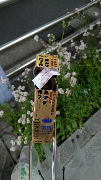 【北新地】春らしい気候の木曜バード【5月第2木曜日】画像