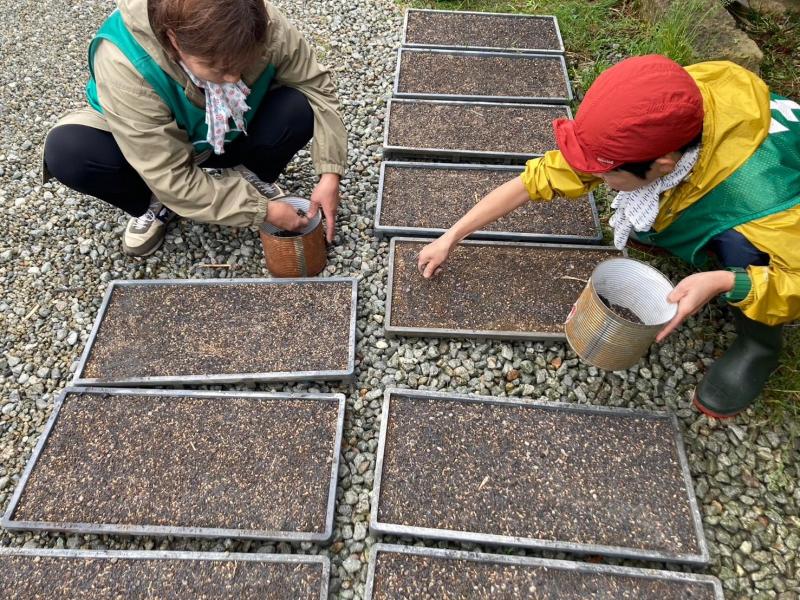 TAKASAGO greenレンジャー画像