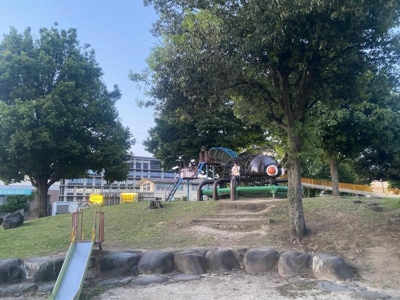 日が長くなりましたねー画像