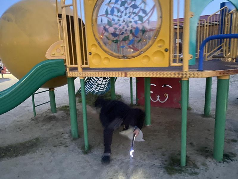 日が長くなりましたねー画像