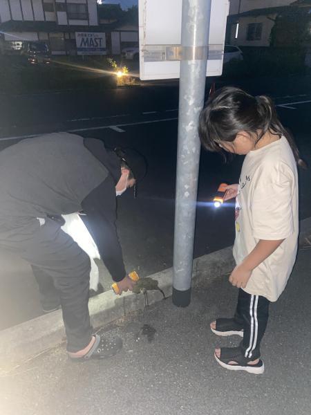 日が長くなりましたねー画像