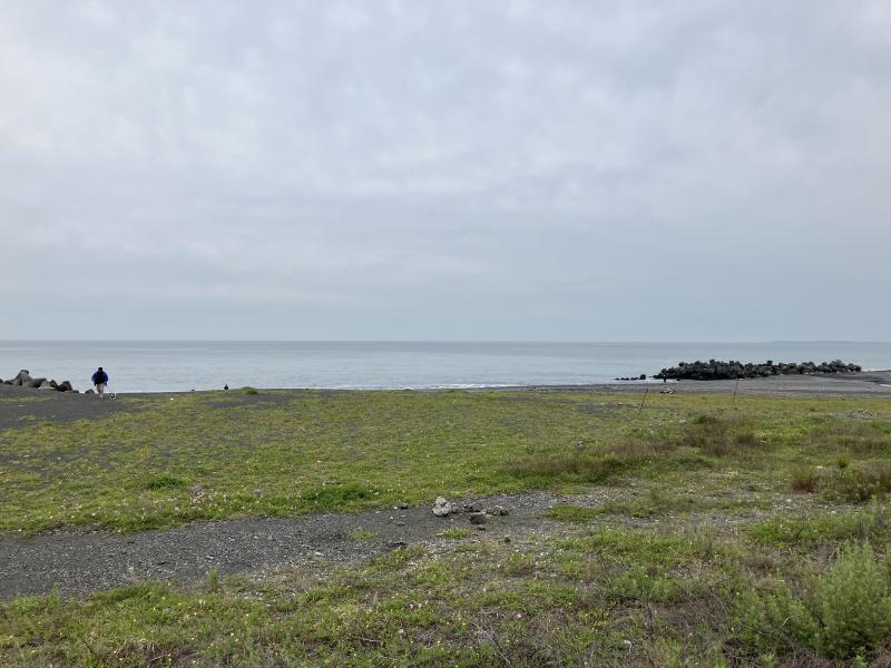 【静岡】海岸おそうじ(静岡チーム通算第305回)画像