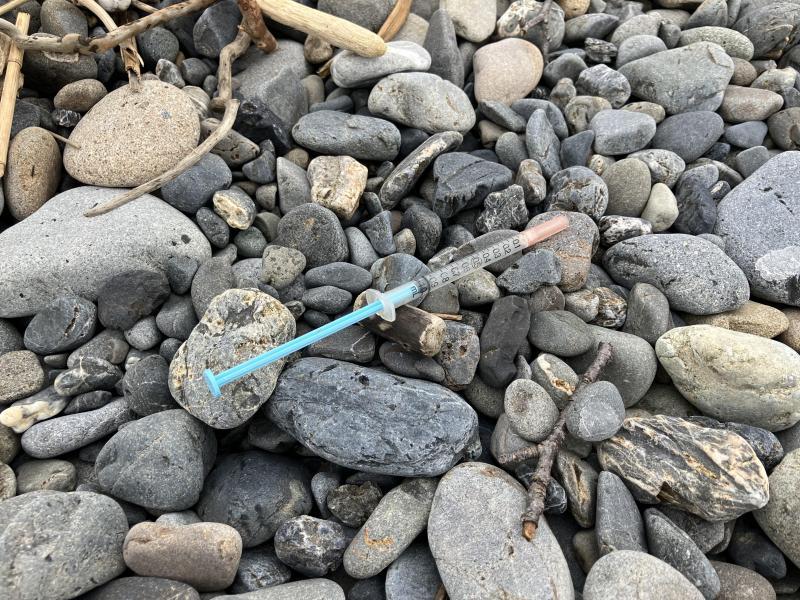 【静岡】海岸おそうじ(静岡チーム通算第305回)画像