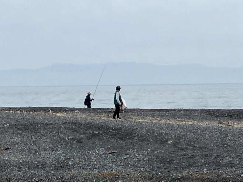 【静岡】海岸おそうじ(静岡チーム通算第305回)画像