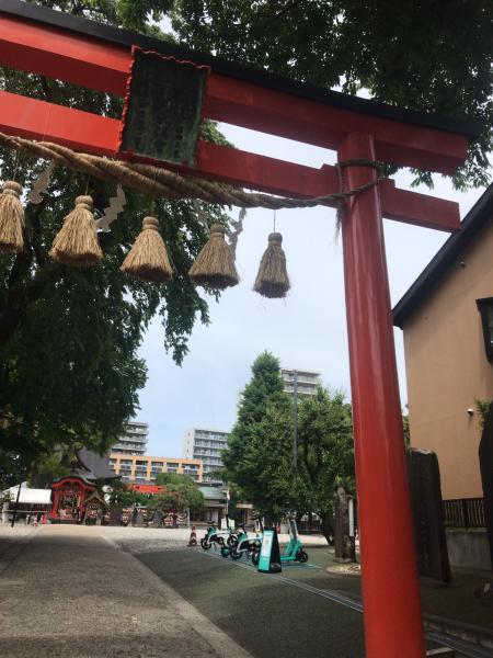 東風吹かば 青葉まつりで おそうじだ画像