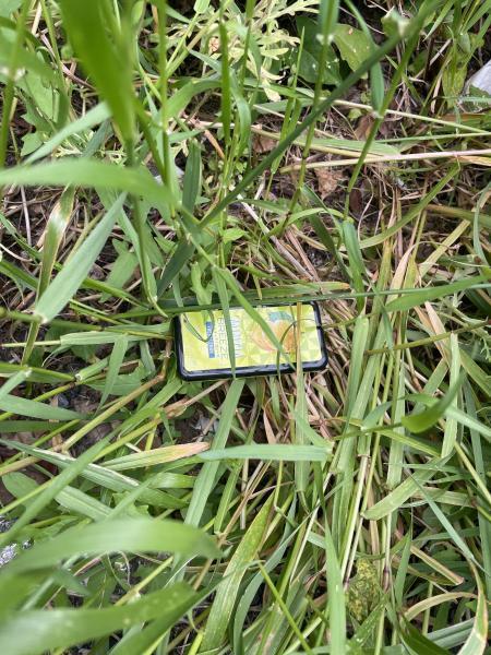 汐入駅お掃除画像