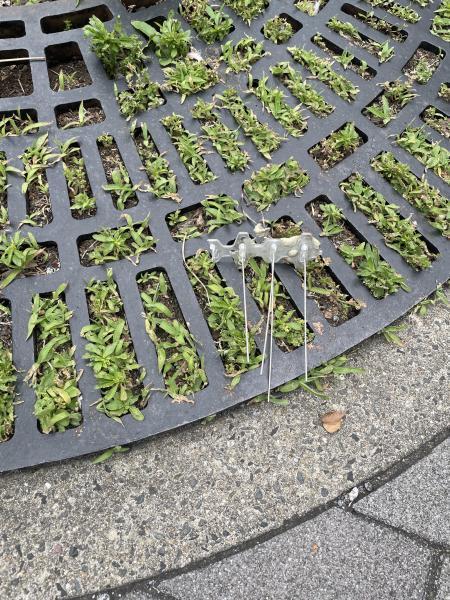 汐入駅お掃除画像