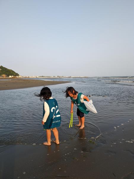海のイブニングおそうじ画像