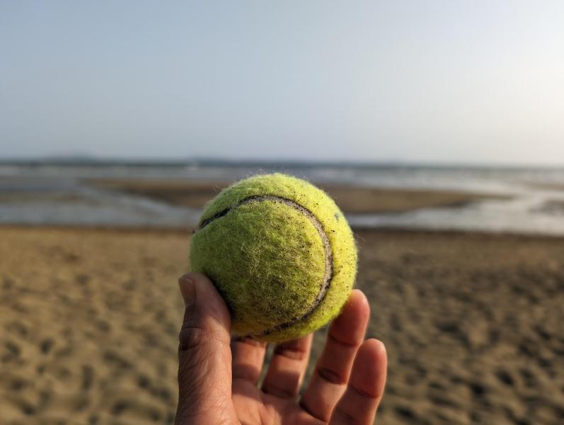 海のイブニングおそうじ画像