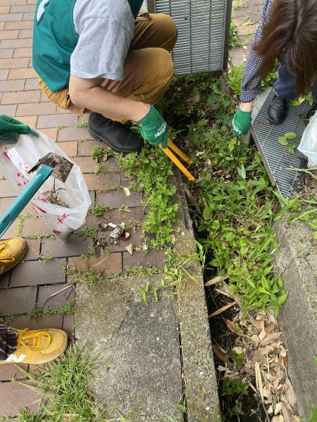 【米子】彫刻ロード川沿いおそうじ画像