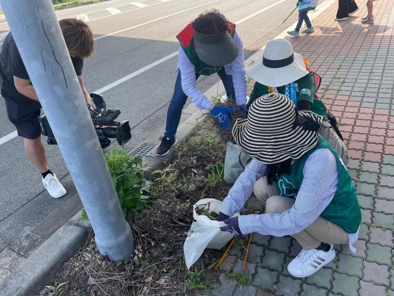 防災グリーンバード画像