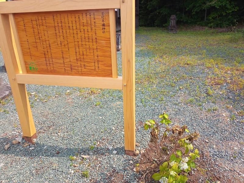 爽やかな朝そうじ画像