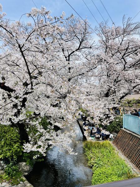 登戸そうじ画像