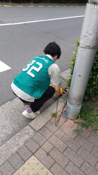 2024年06月09日画像