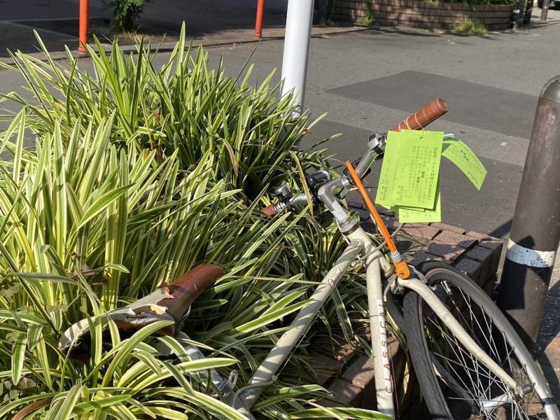 張り切ってたらたくさん来てくれた☆朝そうじ＆天神クリーンデー画像