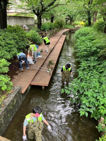 二ヶ領用水一斉清掃画像