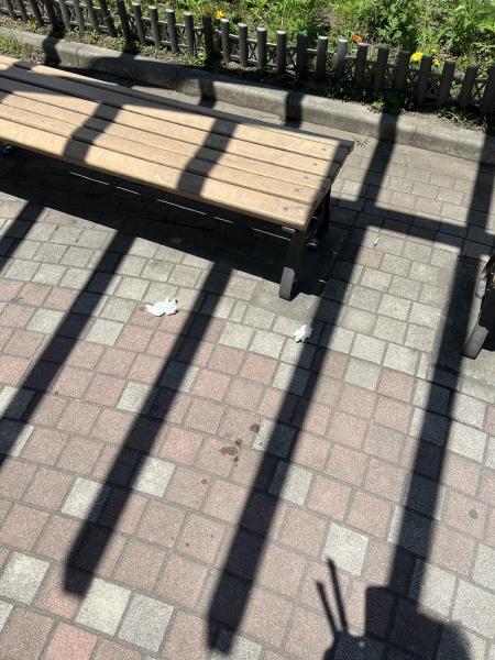 【金沢文庫】定期清掃画像