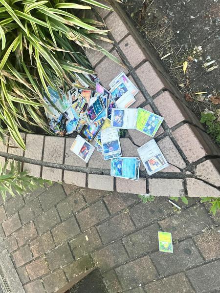 チェックな人々画像