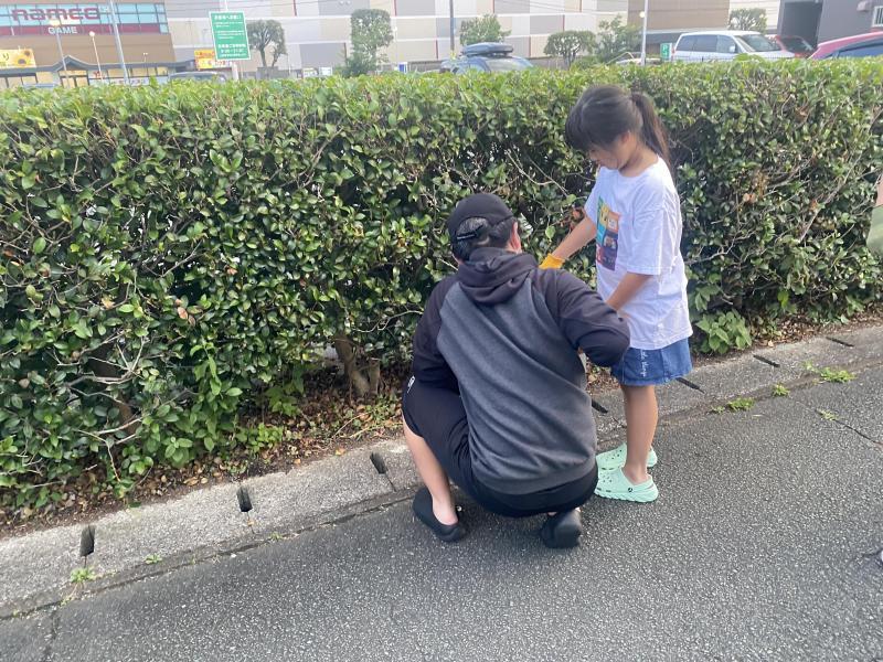 長い長いひる画像