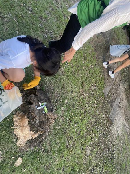 長い長いひる画像