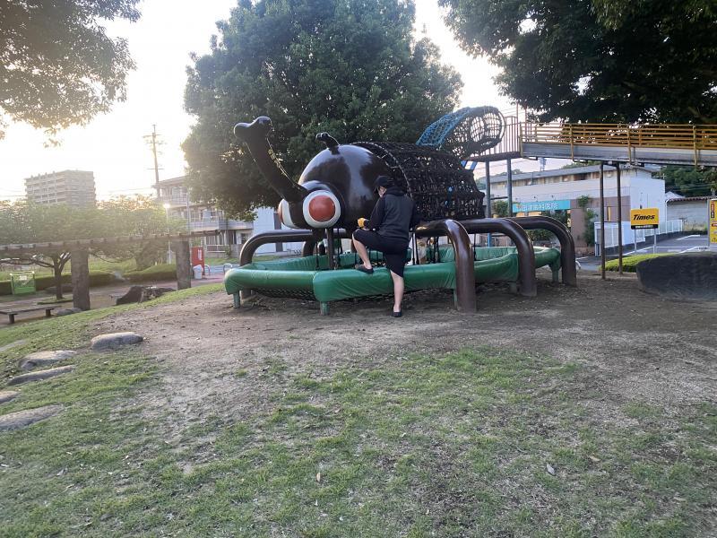 長い長いひる画像