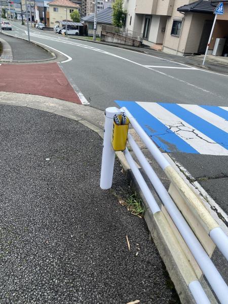 晴れ間のお掃除画像