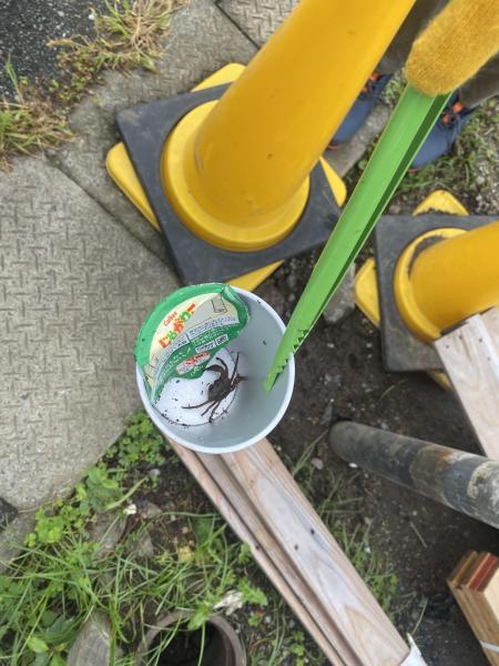 晴れ間のお掃除画像