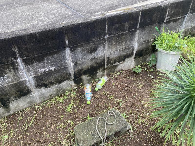 晴れ間のお掃除画像