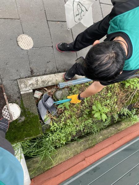 晴れ間のお掃除画像