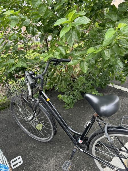 晴れ間のお掃除画像