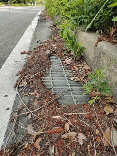 イオンモール大牟田店さまコラボ防災グリーンバード画像