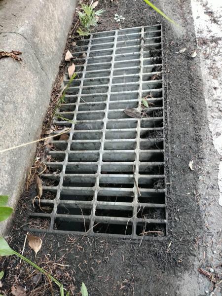 イオンモール大牟田店さまコラボ防災グリーンバード画像