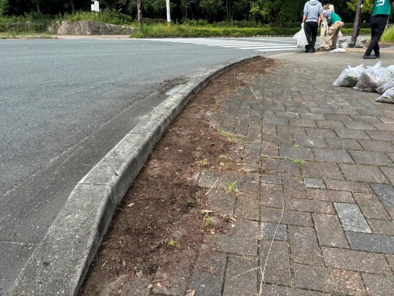 イオンモール大牟田店さまコラボ防災グリーンバード画像