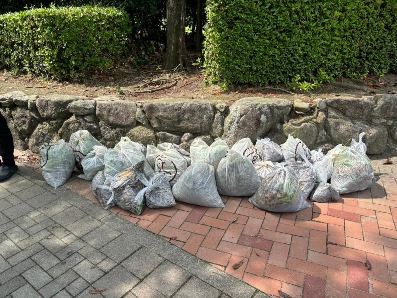 イオンモール大牟田店さまコラボ防災グリーンバード画像