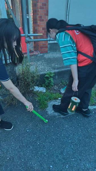 ✨七夕プロジェクト✨画像