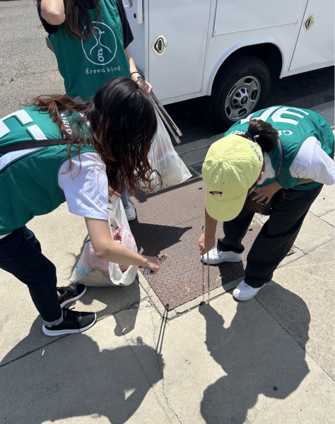 2024年の11回目のお掃除画像