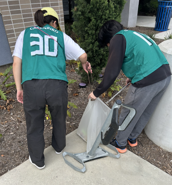 2024年の11回目のお掃除画像