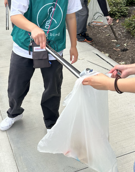 2024年の11回目のお掃除画像