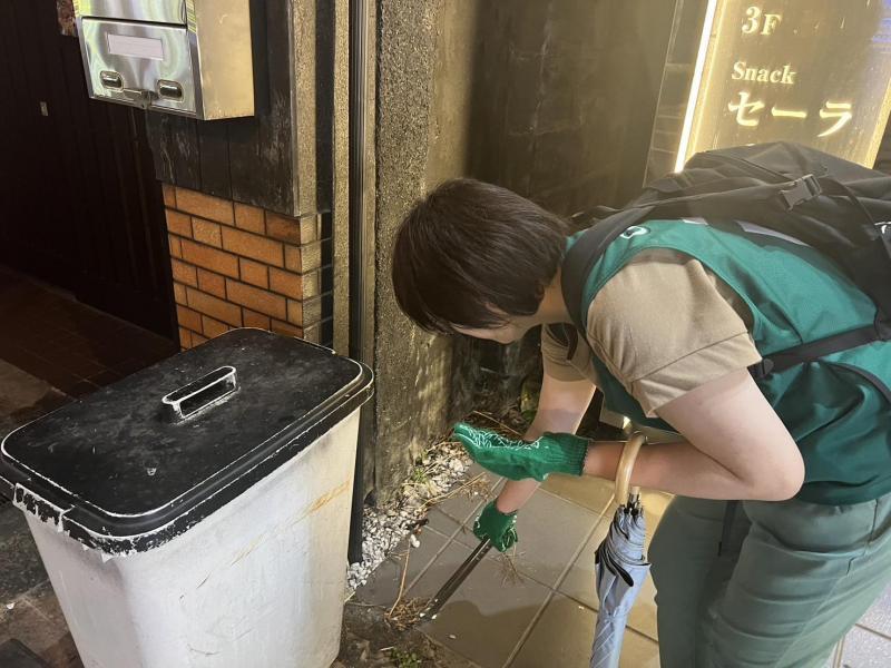 梅雨を雨間をくぐりぬけて画像