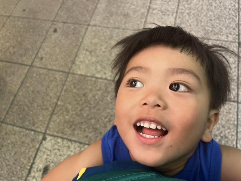 梅雨を雨間をくぐりぬけて画像